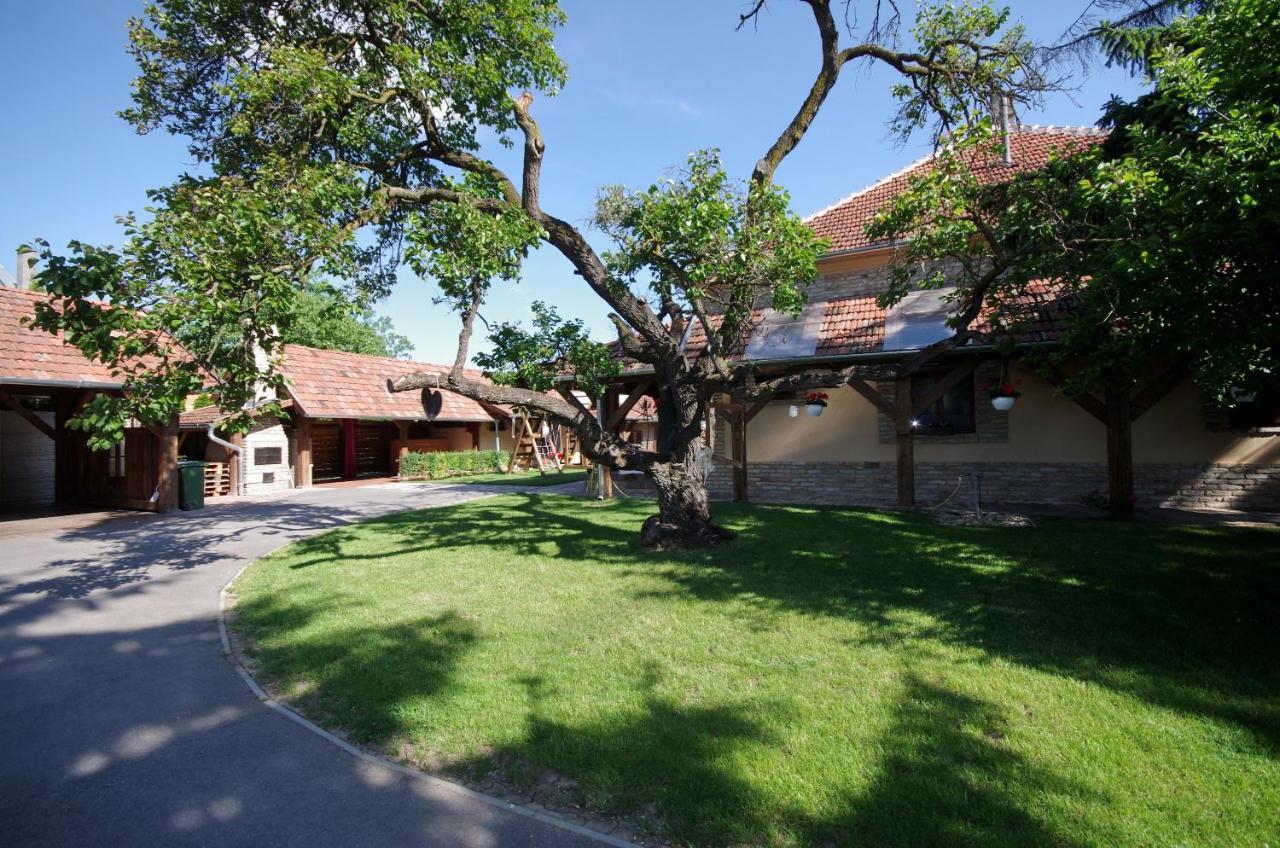 Villa Rusztika Gyula Kültér fotó