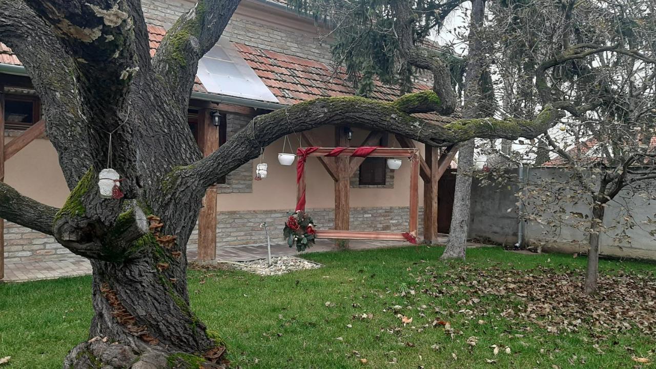 Villa Rusztika Gyula Kültér fotó